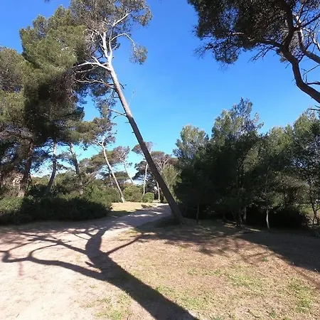 Apartment Presqu'ile De Giens - Hameau De La Pinede